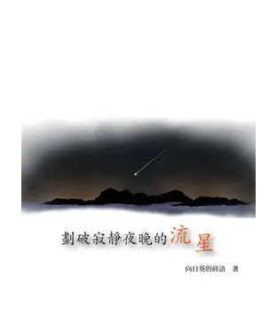 書封 劃破寂靜夜晚的流星